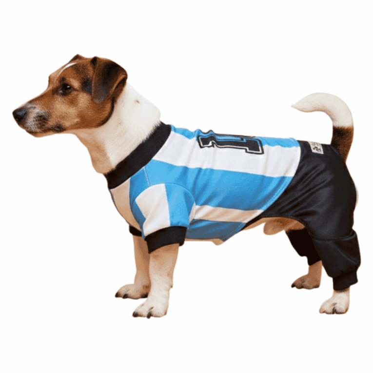 EQUIPO DE FUTBOL ARGENTINA PER-ROS