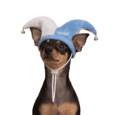 GORRO DE ARGENTINA ARLEQUIN