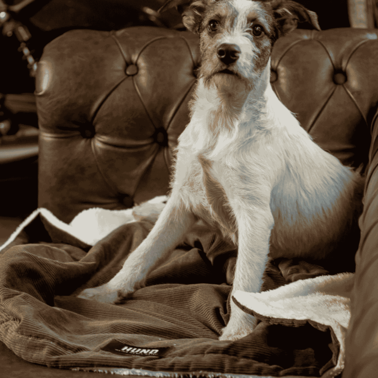 MANTAS DE CORDEROY HUND