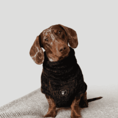 ABRIGO SNOOD HUND SALCHI