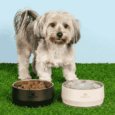 BOWL PARA MASCOTAS STANLEY
