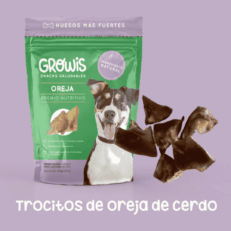 MINI OREJAS GROWIS