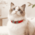 COLLAR PARA GATO SJ