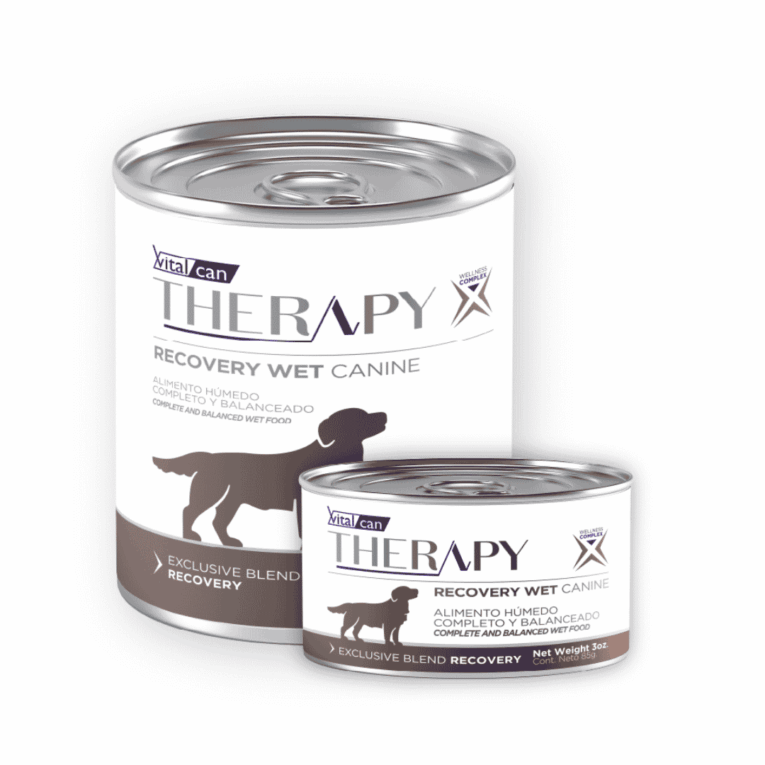 LATA VITALCAN DOG THERAPY RECOVERY WET