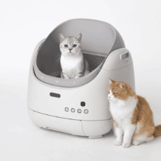 LITERA CON LIMPIEZA AUTOMÁTICA BEEPAW DUN-E
