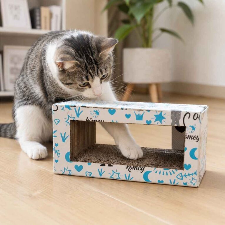 RASCADOR KIMEY CARTON N°16 RECTANGULO1