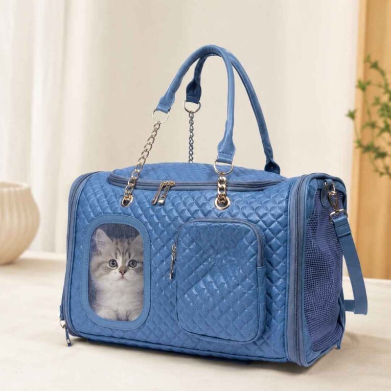 BOLSO PETROLEO NIGHT CANCAT1