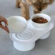 COMEDERO DOBLE MISO
