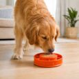 KONG COMEDERO INTERACTIVO LICKS MEALTIME