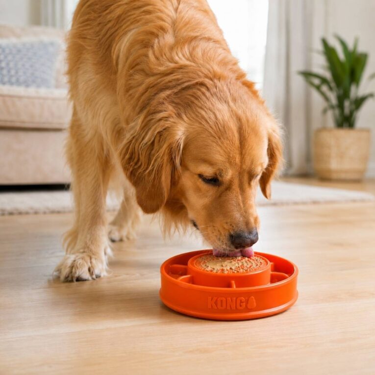 KONG COMEDERO INTERACTIVO LICKS MEALTIME2