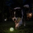 PELOTA CHUCKIT MAX GLOW