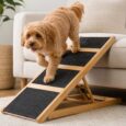 RAMPA ANTIDESLIZANTE CON ESCALONES