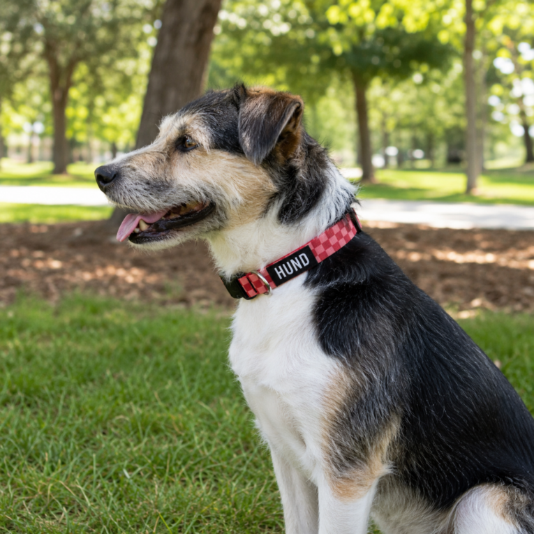 COLLAR HUND MONACO ROJO1