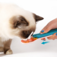 CUCHARA DISPENSER PARA GATOS