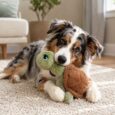 KONG PELUCHE SCRUFFS TURTLE