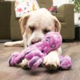 KONG PELUCHE SOFTSEAS OCTOPUS