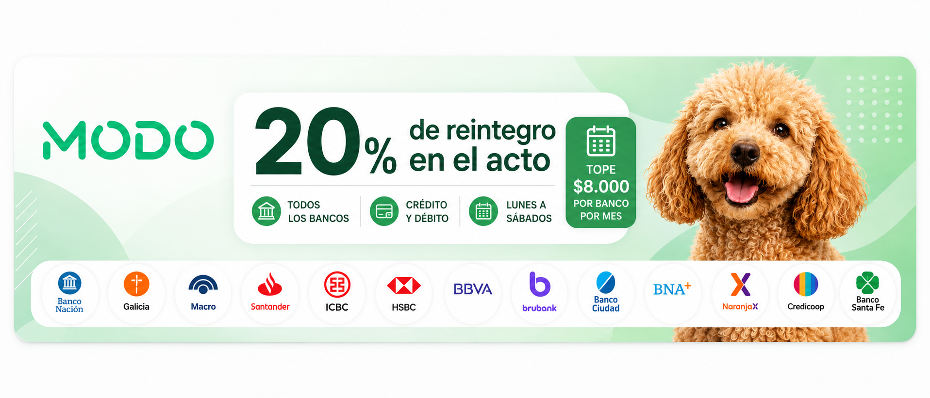 PROMO MODO ANIMALIA.