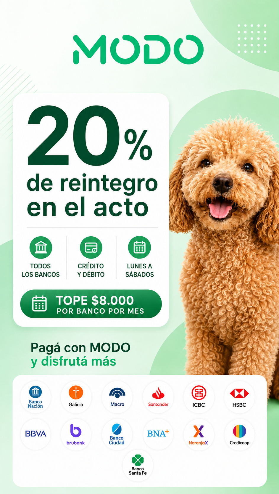 PROMO MODO ANIMALIA CELULAR