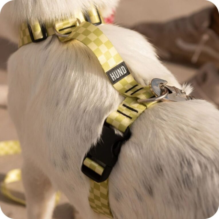 ARNES HUND MONACO VERDE EN «H»