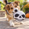 CALAVERA HALLOWEEN PER-ROS
