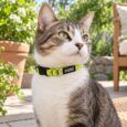 COLLAR HUND MONACO VERDE