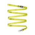 CORREA HUND MONACO VERDE
