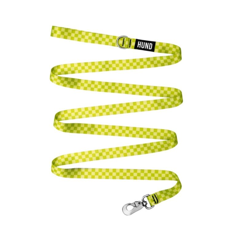 CORREA HUND MONACO VERDE