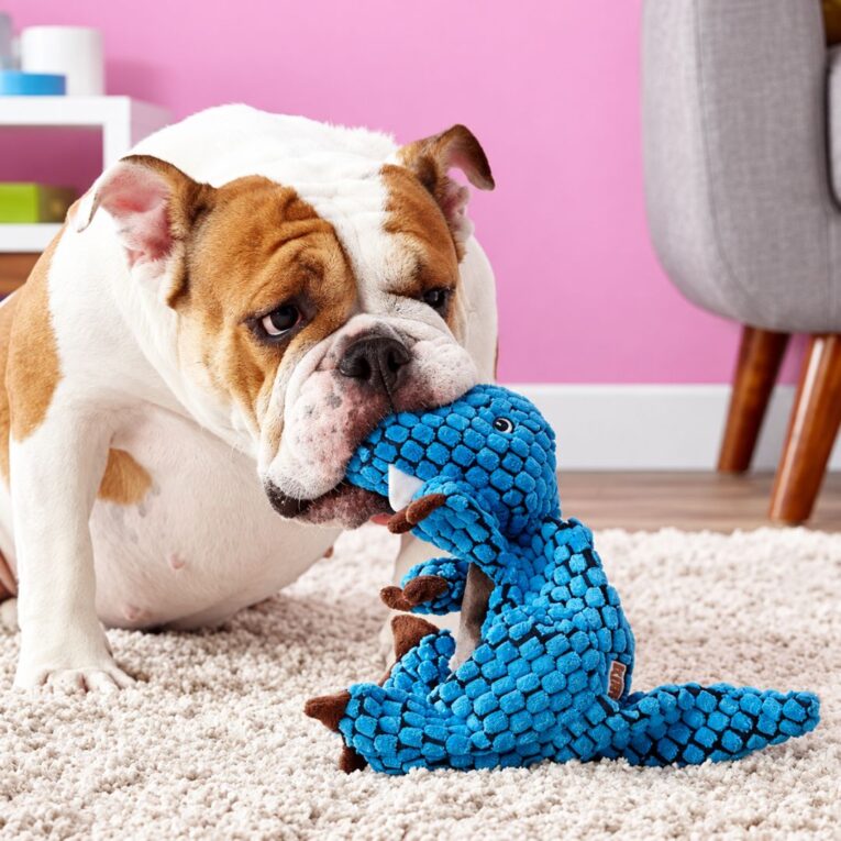 PELUCHE KONG DYNOS T-REX BLUE1
