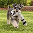 PELUCHE KONG SCRUNCH KNOTS RACOON