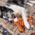 PELUCHE KONG WILD KNOTS TIGER