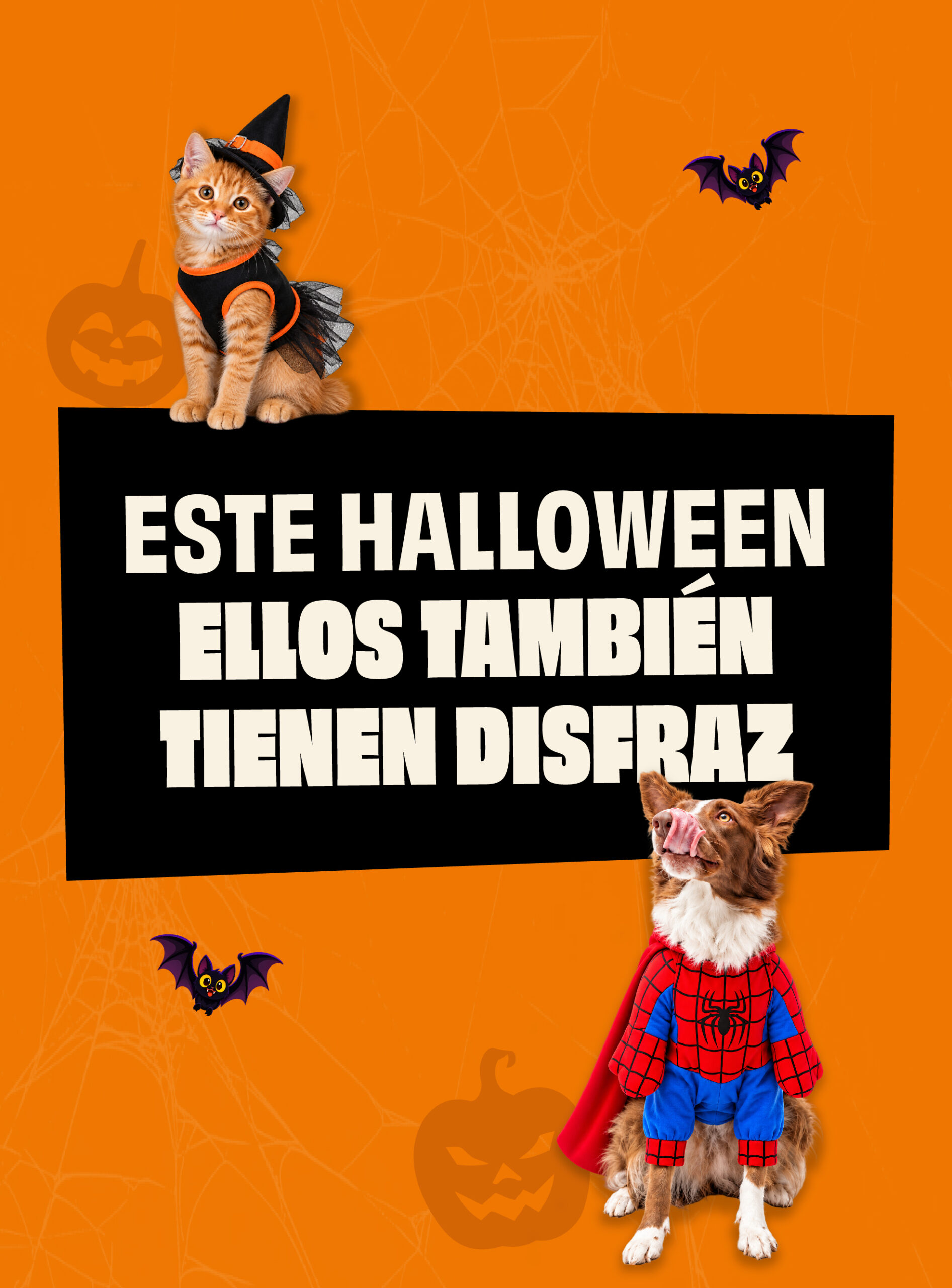 BANNER CELU HALLOWEEN