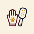 Cepillos, Guantes y Cardinas