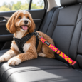CINTURON DE SEGURIDAD HUND MALIBU
