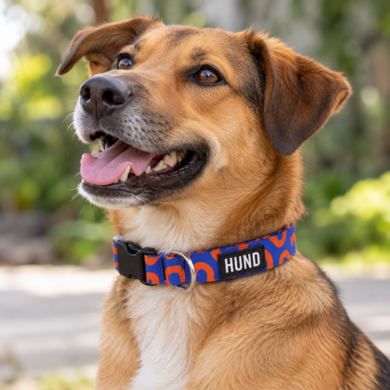 COLLAR HUND WAIKIKI1
