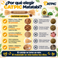STICKS MATATABI PARA GATOS