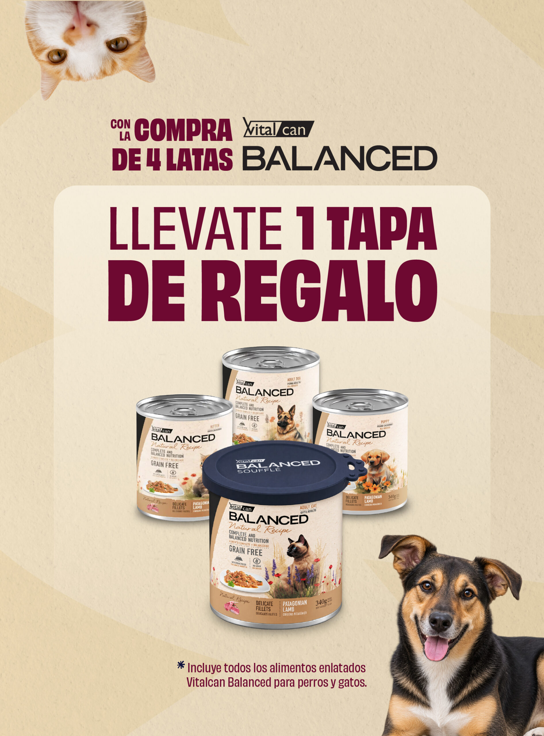 VITALCAN CELU